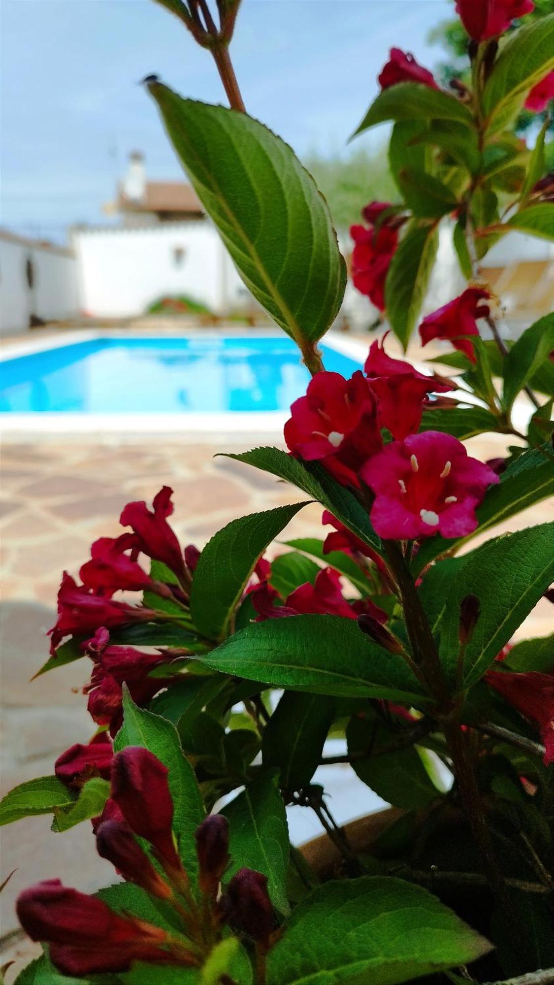 Villa "Pied-A-Terre" Residence & Spa Umago Exterior foto